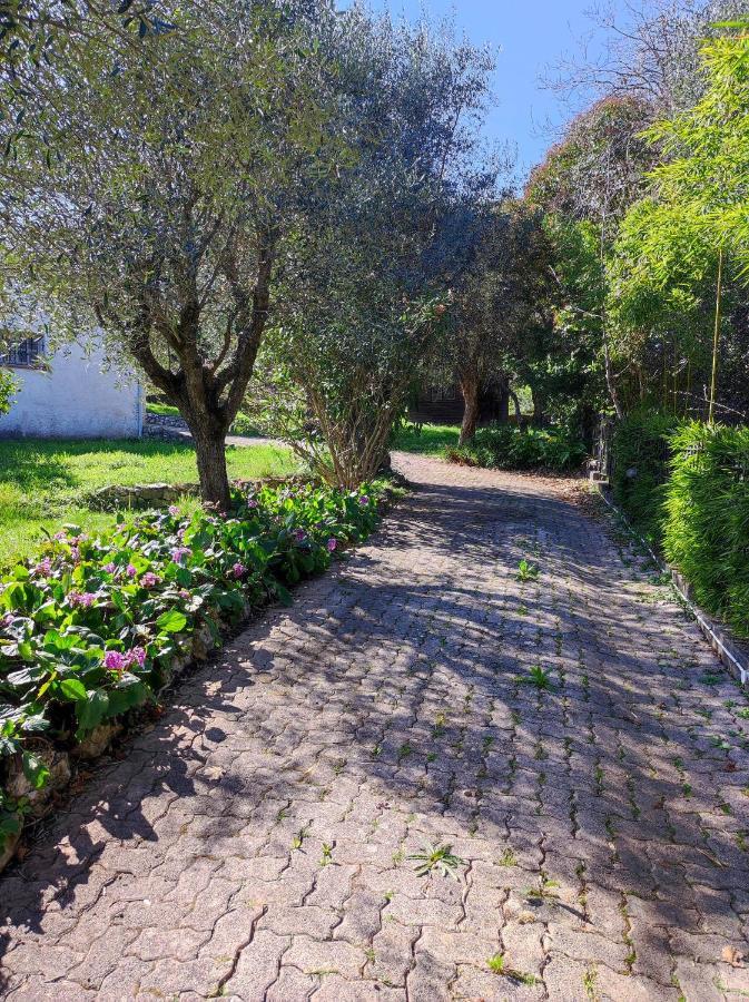 Villa Olivaie St Ange La Gaude Ngoại thất bức ảnh